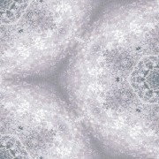 Floor_Extreme_snowcress