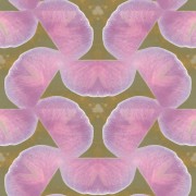 Floor_Jafleur_Jafleur7